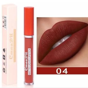Matte Waterproof Long Lasting liquid lipsticks